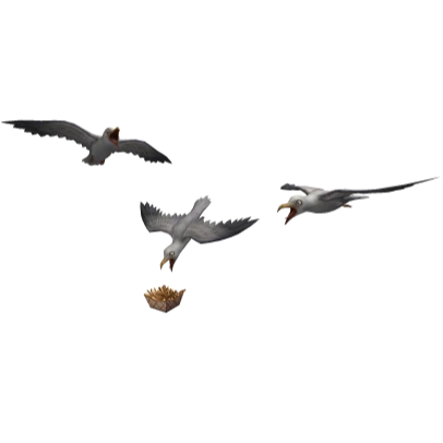 Seagull Swarm Cap